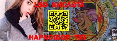 спайс Гагарин