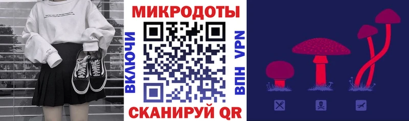 Псилоцибиновые грибы MAGIC MUSHROOMS  где можно купить наркотик  Дзержинск 