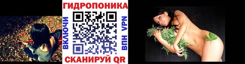 наркотики  Дзержинск  МАРИХУАНА гибрид 